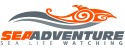 SEAADVENTURE
